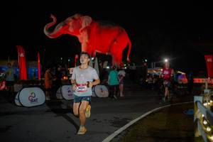 BIB: 
                            <button type="button" onclick="openModal(26551826)" class="btn btn-primary btn-sm float-right btn-popup" data-toggle="modal" data-target=".modal-high-quality">
                        <i class="fas fa-shopping-cart"></i> Add to Cart
                    </button>
                                            <button type="button" onclick="isThisMe(26551826, true)" class="btn btn-success btn-sm float-right btn-popup btn-isme hidden" data-toggle="tooltip" data-placement="bottom" title="นี่คือรูปของคุณใช่ไหม คลิกที่นี่เพื่อเอาเข้าอัลบั้ม">
                        <i class="fas fa-plus"></i> Add to album
                    </button>
                    <button type="button" onclick="isThisMe(26551826, false)" class="btn btn-warning btn-sm float-right btn-popup btn-isnotme hidden">
                        <i class="fas fa-ban"></i> Remove from album
                    </button>